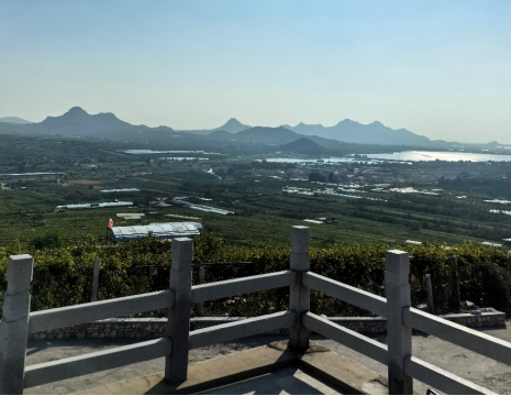 平度大澤山葡萄園引進(jìn)萊恩德土壤肥料檢測(cè)儀， 輕松掌握土壤營(yíng)養(yǎng)